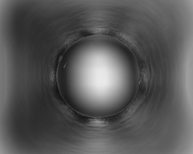 X0000089890380200707121835