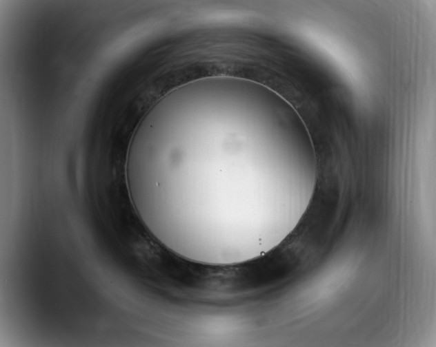 X0000089890382200707121835