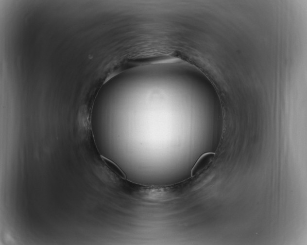 X0000089890384200707121835