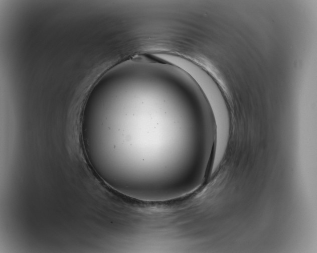 X0000089890385200707121835