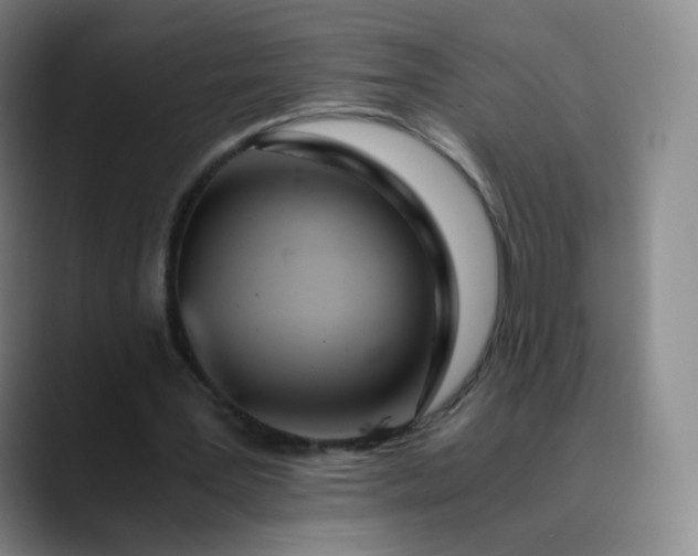 X0000089890387200707121835