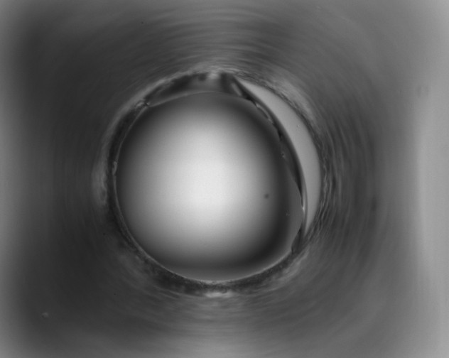 X0000089890388200707121835