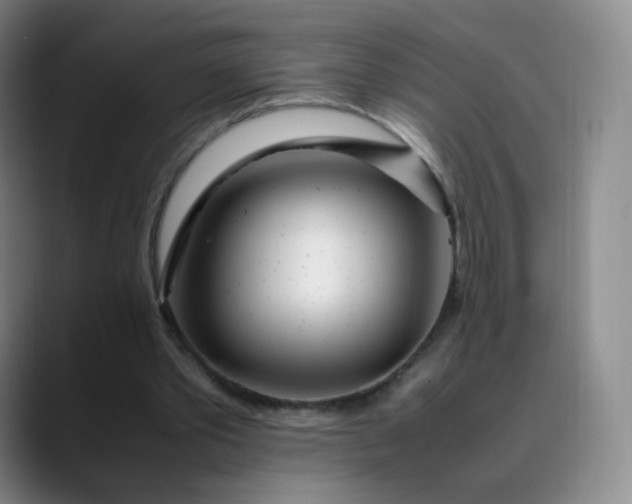 X0000089890389200707121835