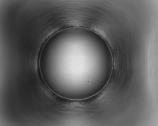 X0000089890390200707121835