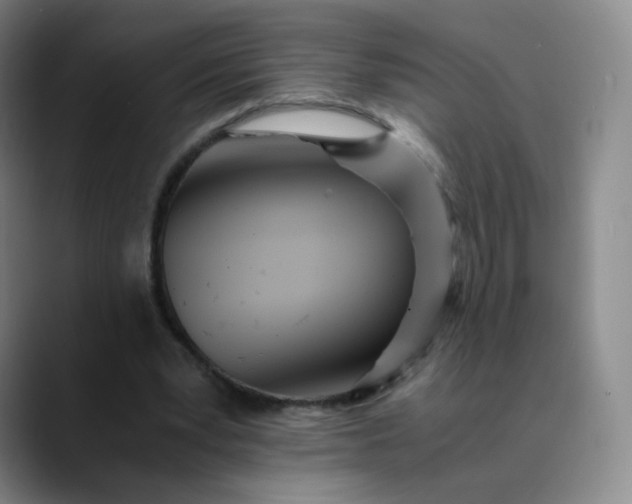 X0000089890391200707121835