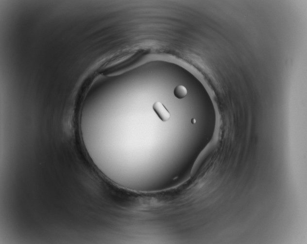 X0000089890392200707121835