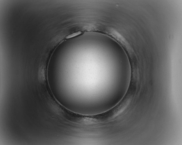 X0000089890393200707121835