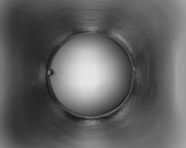 X0000089890394200707121835