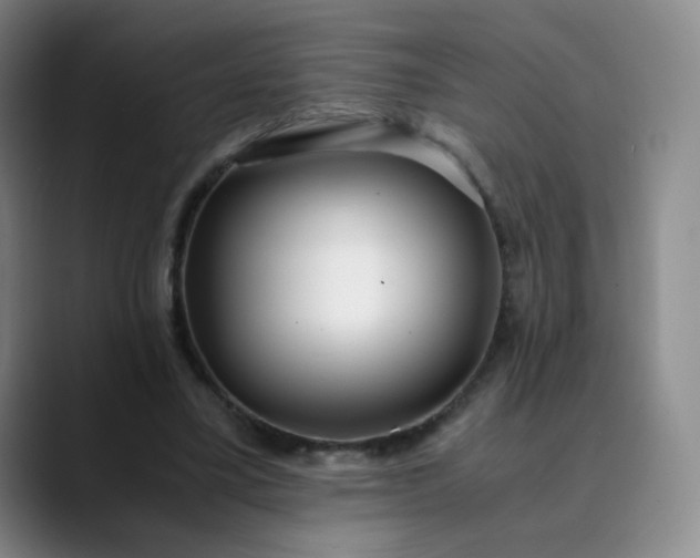 X0000089890395200707121835