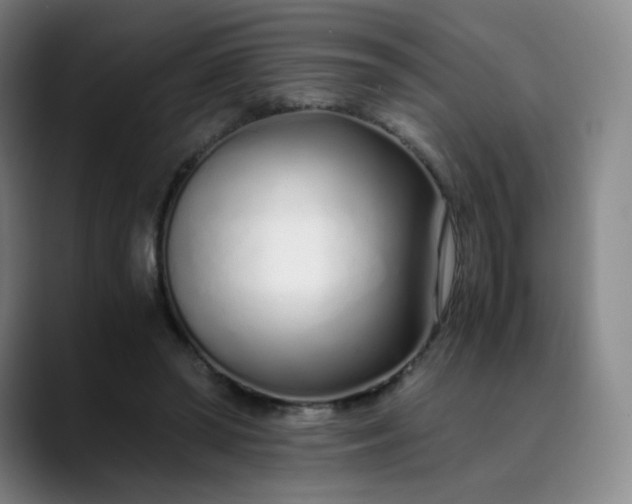 X0000089890398200707121835