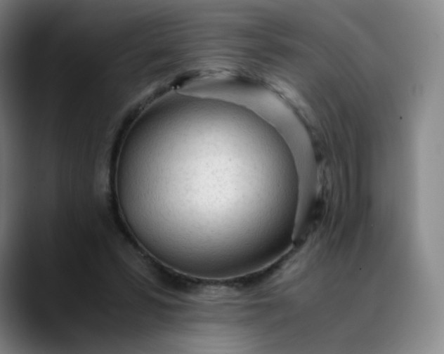 X0000089890399200707121835