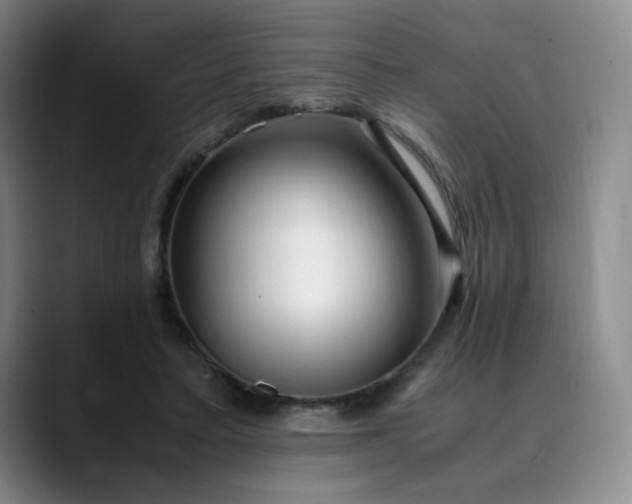 X0000089890403200707121835