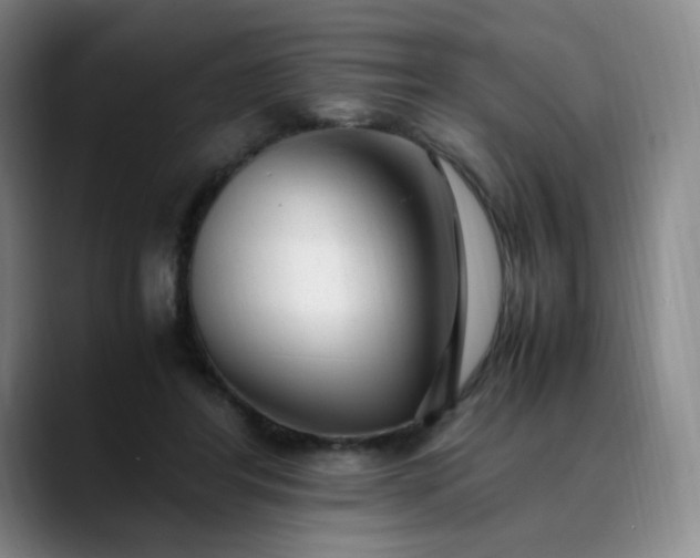 X0000089890404200707121835