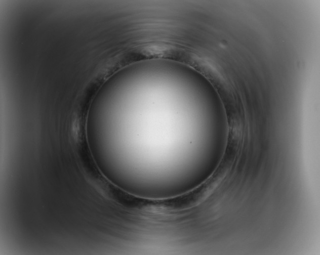 X0000089890408200707121835