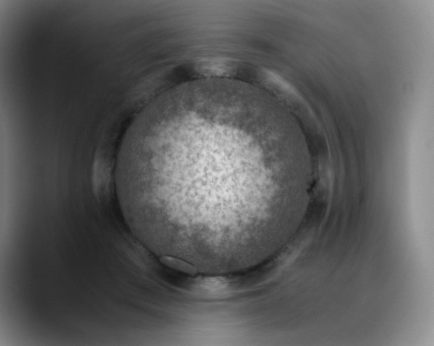 X0000089890409200707121835