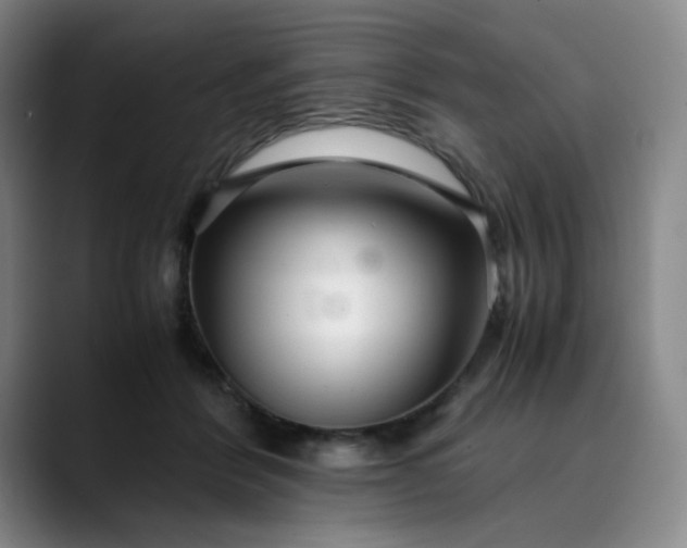 X0000089890412200707121835