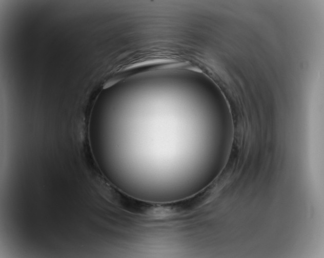 X0000089890413200707121835