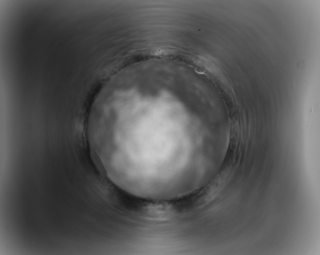 X0000089890415200707121834