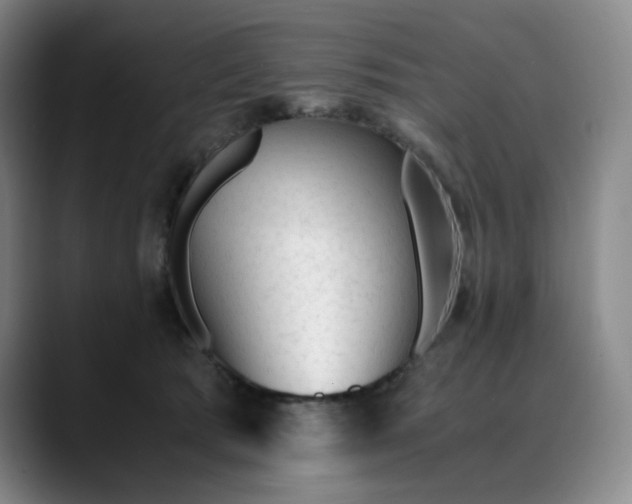 X0000089890417200707121834