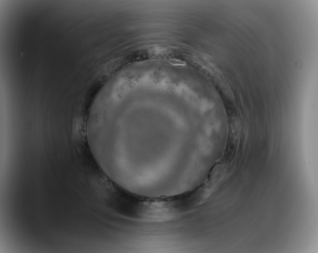 X0000089890419200707121834