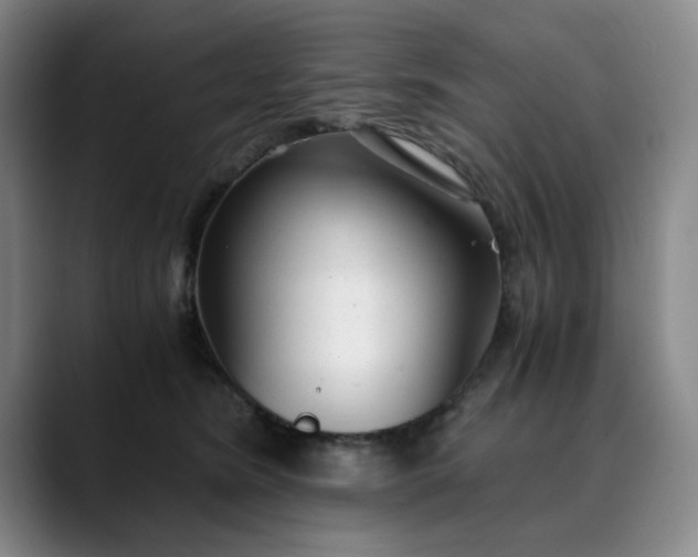 X0000089890420200707121834