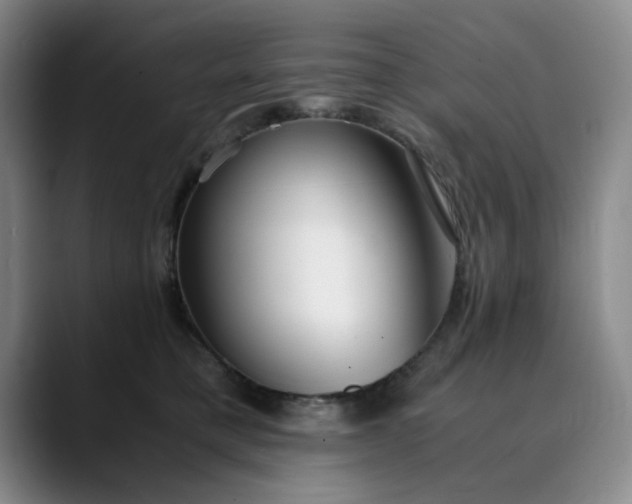 X0000089890421200707121834