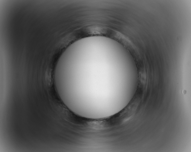 X0000089890422200707121834