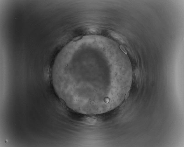 X0000089890423200707121834