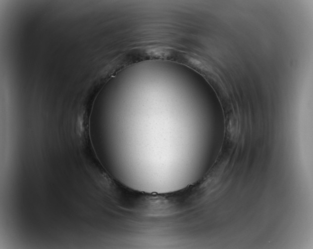 X0000089890424200707121834