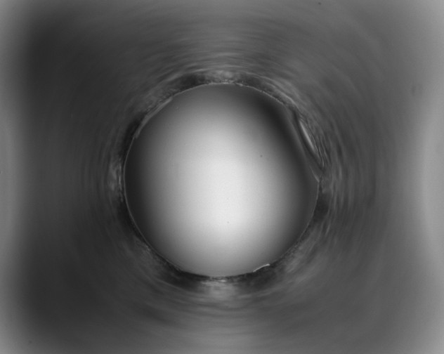 X0000089890425200707121834