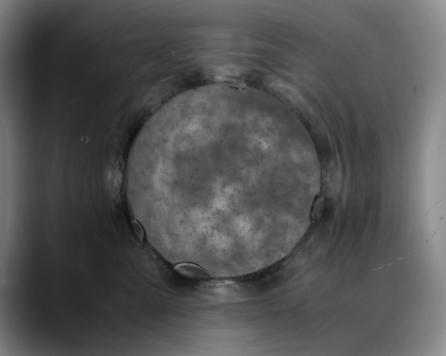 X0000089890427200707121834