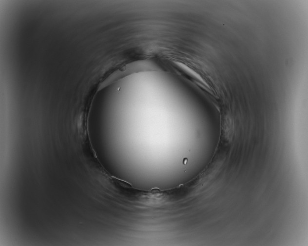 X0000089890428200707121834