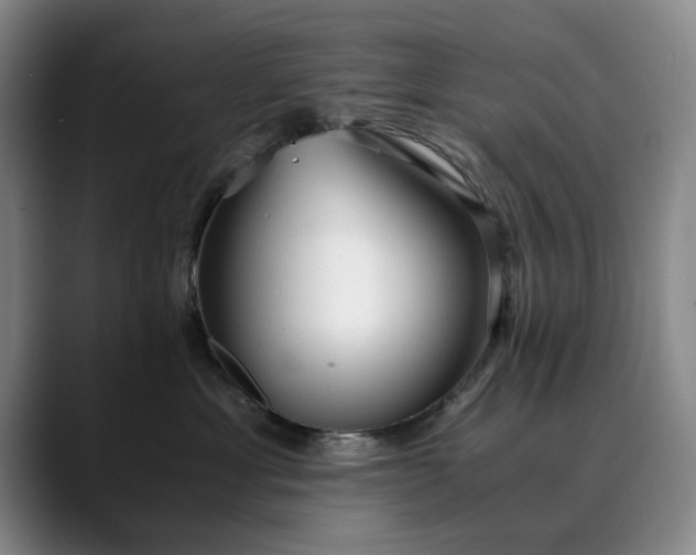 X0000089890429200707121834