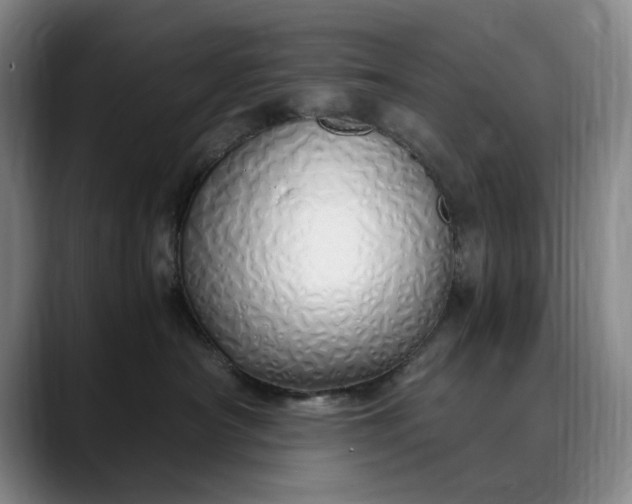 X0000089890430200707121834