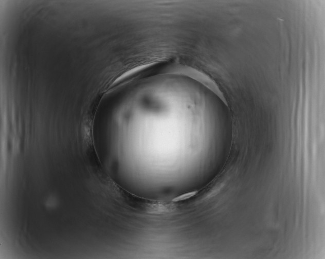 X0000089890432200707121834