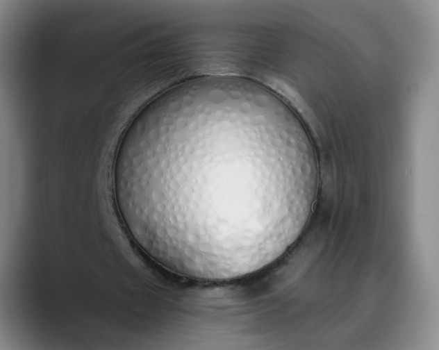 X0000089890433200707121834