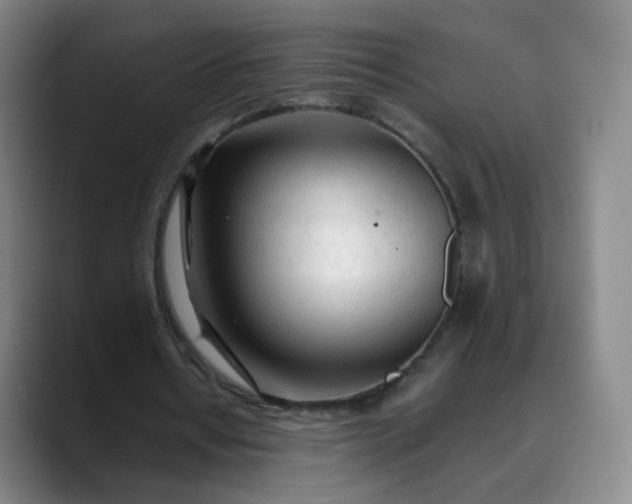 X0000089890434200707121834