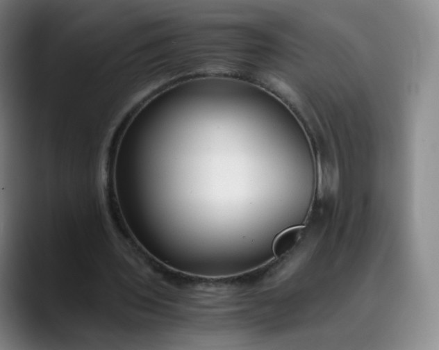 X0000089890435200707121834