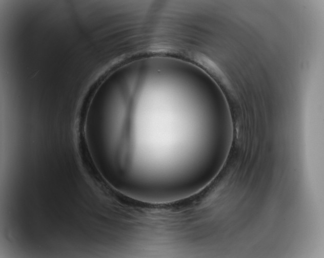 X0000089890436200707121834