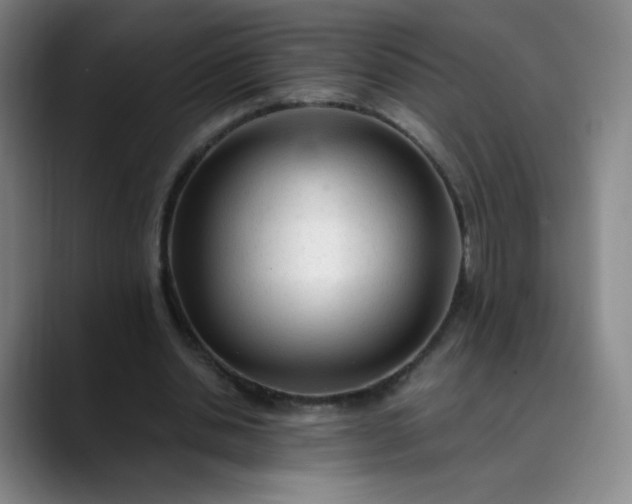 X0000089890438200707121834