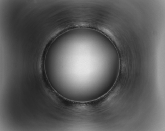 X0000089890439200707121834