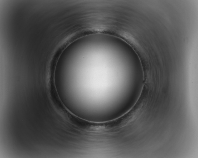 X0000089890440200707121834