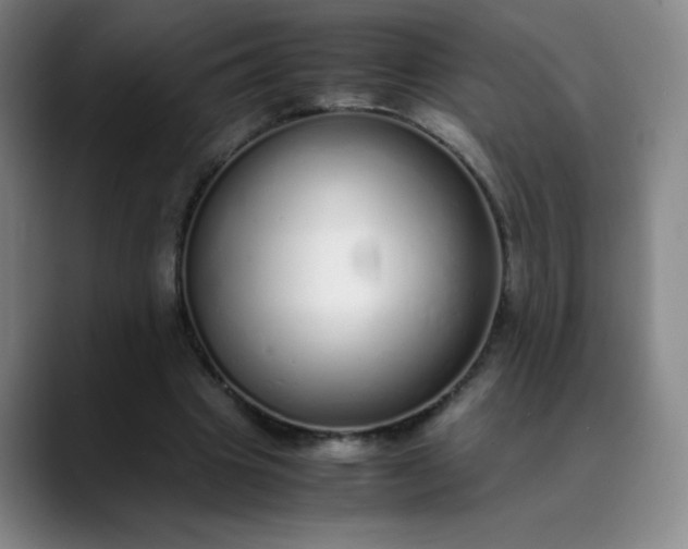 X0000089890441200707121834