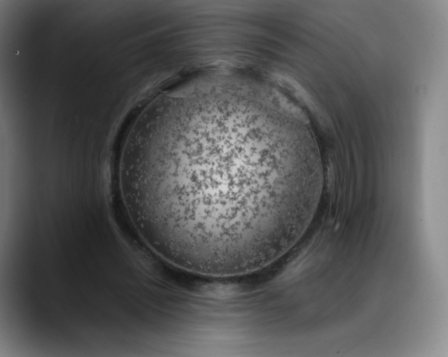 X0000089890444200707121834