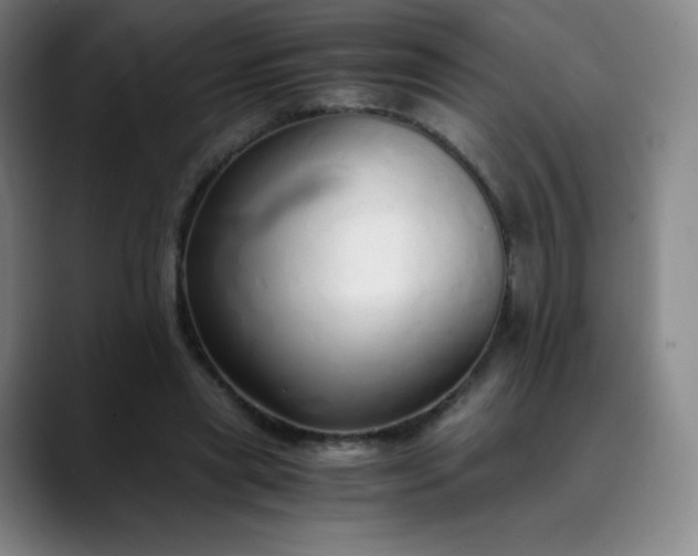 X0000089890445200707121834