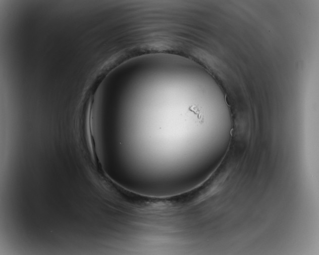 X0000089890446200707121834