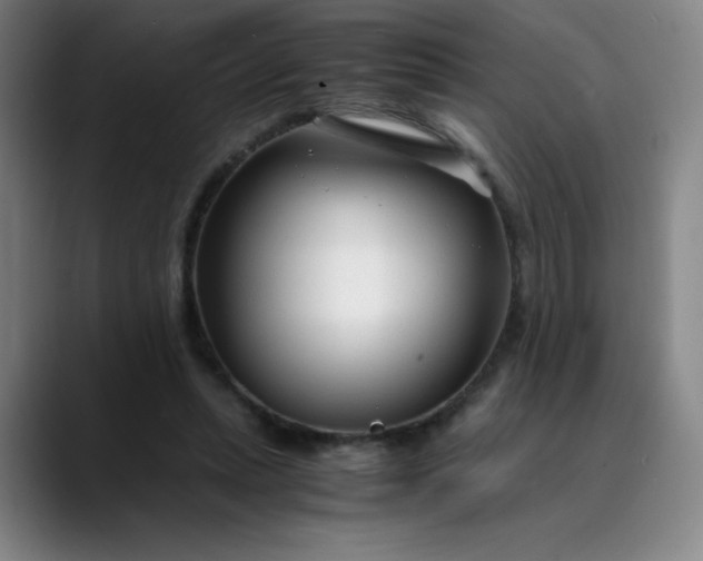 X0000089890447200707121834