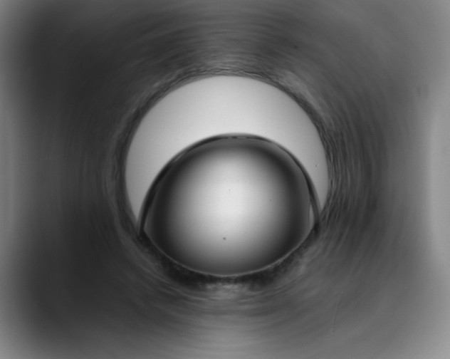 X0000089890448200707121834