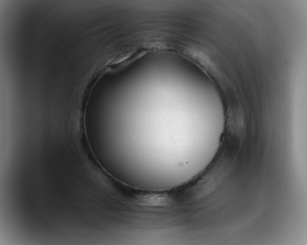 X0000089890449200707121834