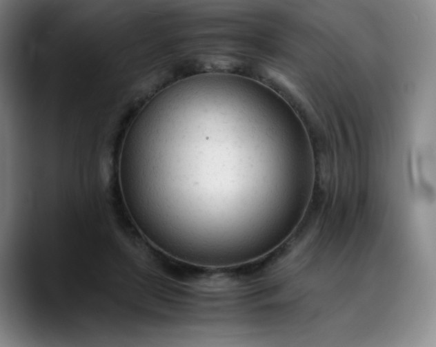 X0000089890451200707121834